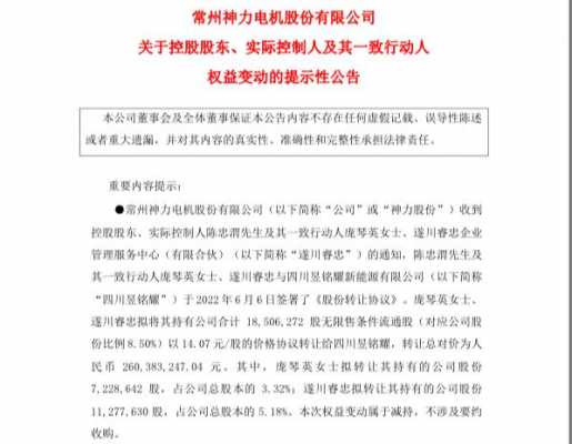 亚星游戏官网体育真人 神力股份新能源（神力股份新能源新豪天地网站地址是什么）-图1