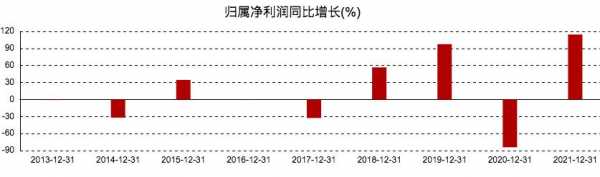 亚星游戏官网体育真人 神力股份新能源（神力股份新能源新豪天地网站地址是什么）-图3