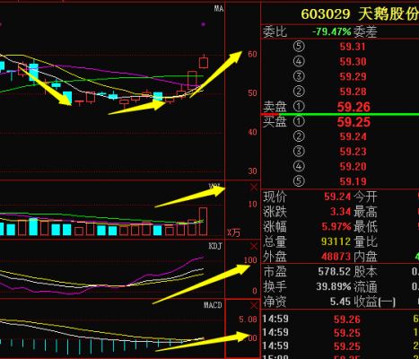 亚星游戏官网体育真人