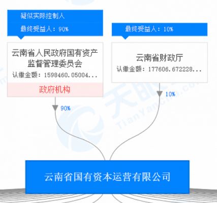 亚星游戏官网官方入口 云维股份资产拍卖（云南云维集团有限公司拍卖）-图3