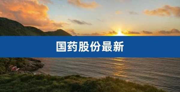 亚星游戏官网老虎机 国药股份未来风险（国药股份深度分析）-图1