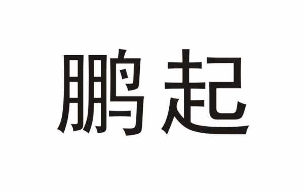 亚星游戏官网官方入口 鹏起股份（鹏起发展股份有限公司）-图1