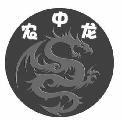 亚星游戏官网老虎机 中龙股份股票（中龙投资是干什么的）-图2