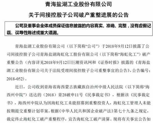 亚星官网平台入口官网平台 盐湖股份重整草案（盐湖股份重整草案最新）-图1