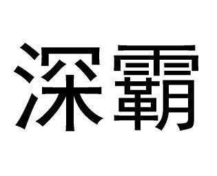 亚星官网平台入口最新网址 深霸股份（深霸股份有限公司）-图3