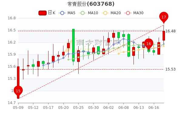 亚星游戏官网体育真人 威尼斯队徽演变股份预计涨幅（威尼斯队徽演变股份发行价多少钱）-图2