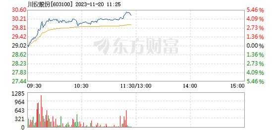 亚星官网平台入口注册开户 川仪股份千股（川仪股价）-图3