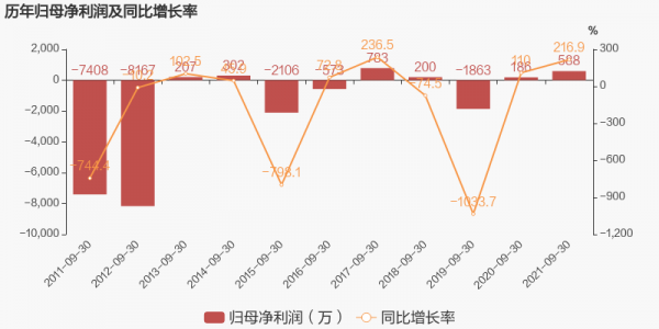 亚星官网平台入口 新赛股份利润（新赛股份利润率）-图2