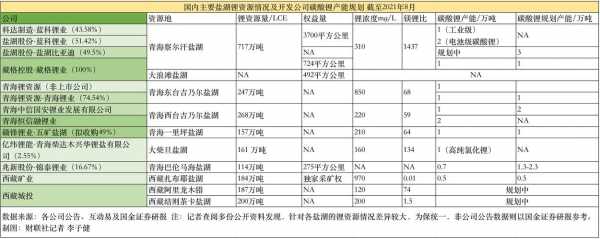 亚星官网平台入口注册开户 盐湖股份价值研究（盐湖股份最新分析）-图2