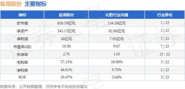 亚星官网平台入口注册开户 盐湖股份价值研究（盐湖股份最新分析）-图3