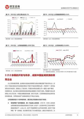 亚星游戏官网体育真人 盐湖股份季报披露（盐湖股份一季度报）-图2