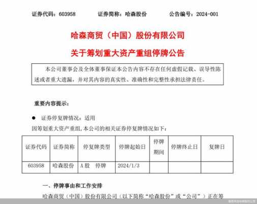 亚星官网平台入口app下载中心 哈森股份决议报告（哈森上市）-图3