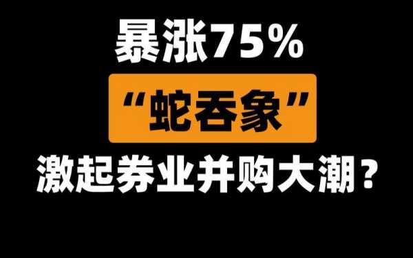 亚星官网平台入口官网平台 蛇吞象发行股份购买资产（蛇吞象并购案例）-图2